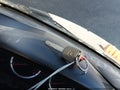 2011 Honda Accord — photo 11 of 17 | VIN 1HGCP2F61BA034690