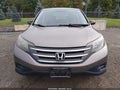 2012 Honda CR-V — photo 6 of 16 | VIN 5J6RM4H31CL052493