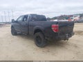2010 Ford F-150 — photo 3 of 16 | VIN 1FTFW1EVXAFC13832