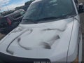 2013 Ford F-150 — photo 20 of 21 | VIN 1FTMF1CM2DKE80802