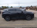 2022 Lexus NX 350h — photo 14 of 17 | VIN 2T2GKCEZ3NC004439