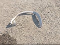 2023 Infiniti QX80 — photo 11 of 17 | VIN JN8AZ2BE7P9303883
