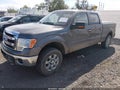 2013 Ford F-150 — photo 2 of 22 | VIN 1FTFW1ET9DFA61920