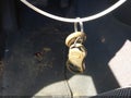 2001 Jeep Grand Cherokee — photo 11 of 11 | VIN 1J4GX48S61C541846