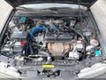 1991 Honda Accord — photo 10 of 13 | VIN 1HGCB7653MA149622