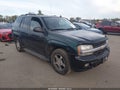 2007 Chevrolet Trailblazer — photo 1 of 16 | VIN 1GNDT13S572174163