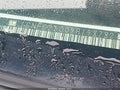 2009 Chevrolet Tahoe — photo 18 of 19 | VIN 1GNFC23009R198782
