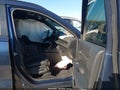 2026 Honda CR-V — photo 5 of 17 | VIN 7FARS6H81TE091529