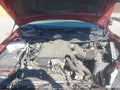 2004 Lincoln Town Car — photo 10 of 16 | VIN 1LNHM83W14Y609266