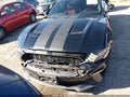 2020 Ford Mustang — photo 12 of 16 | VIN 1FA6P8TH3L5103951