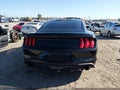 2020 Ford Mustang — photo 16 of 16 | VIN 1FA6P8TH3L5103951
