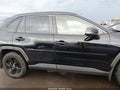 2019 Toyota RAV4 — photo 14 of 17 | VIN JTMP1RFV8KD032273