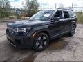 2024 Hyundai Santa Fe Hybrid — photo 2 of 16 | VIN 5NMP2DG14RH010123