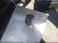 2018 Ford Escape — photo 11 of 11 | VIN 1FMCU0GD4JUD06084