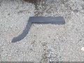 2025 Hyundai Tucson — photo 12 of 19 | VIN 5NMJBCDE2SH477909