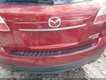 2010 Mazda CX-9 — photo 13 of 14 | VIN JM3TB3MV8A0231199