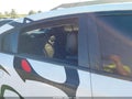 2019 Dodge Charger — photo 21 of 22 | VIN 2C3CDXL95KH732924