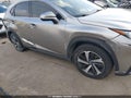2020 Lexus NX 300h — photo 6 of 16 | VIN JTJGJRDZ8L2133099