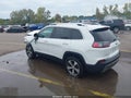 2020 Jeep Cherokee — photo 3 of 17 | VIN 1C4PJMDX8LD622465