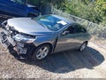 2023 Chevrolet Malibu — photo 15 of 19 | VIN 1G1ZB5ST0PF181459