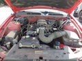 2009 Ford Mustang — photo 10 of 16 | VIN 1ZVHT80N795145618