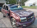 2006 Chevrolet Trailblazer — photo 6 of 15 | VIN 1GNDT13S762154933