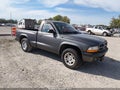 2003 Dodge Dakota — photo 1 of 11 | VIN 1D7FL36X03S174219