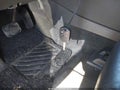 2014 Ford Taurus — photo 11 of 11 | VIN 1FAHP2H8XEG177826