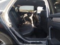 2020 Volkswagen Passat — photo 8 of 17 | VIN 1VWSA7A31LC006655