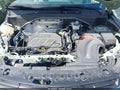 2025 Chevrolet Trailblazer — photo 10 of 11 | VIN KL79MPSP6SB131601