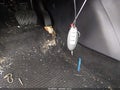 2016 Nissan Sentra — photo 11 of 17 | VIN 3N1AB7AP6GY255502