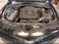 2011 Chevrolet Camaro — photo 10 of 16 | VIN 2G1FA1EDXB9113853