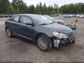 2010 Suzuki Kizashi — photo 1 of 16 | VIN JS2RF9A73A6100538