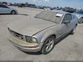 2009 Ford Mustang — photo 2 of 11 | VIN 1ZVHT80NX95119644