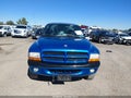 2000 Dodge Dakota — photo 12 of 16 | VIN 1B7GG22N4YS713725