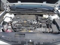 2024 Toyota Camry Hybrid — photo 10 of 19 | VIN 4T1G31AK2RU060133