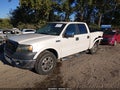 2007 Ford F-150 — photo 2 of 16 | VIN 1FTPW14V17FA85043