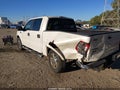 2007 Ford F-150 — photo 3 of 16 | VIN 1FTPW14V17FA85043