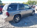 2007 Chevrolet Trailblazer — photo 4 of 11 | VIN 1GNDT13S972285184