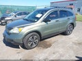 2009 Honda CR-V — photo 2 of 11 | VIN JHLRE48359C013467