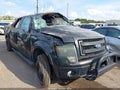 2014 Ford F-150 — photo 1 of 15 | VIN 1FTFW1CF2EKE05948