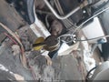 1987 GMC Vandura — photo 11 of 11 | VIN 2GTDG15H8H4508779