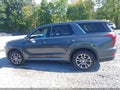 2020 Hyundai Palisade — photo 14 of 16 | VIN KM8R1DHE3LU108004