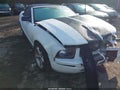 2008 Ford Mustang — photo 1 of 16 | VIN 1ZVHT84N685146039