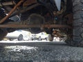 2015 Ford F-250 — photo 18 of 22 | VIN 1FT7W2B68FEB23230