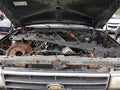 1990 Ford Bronco — photo 10 of 14 | VIN 1FMEU15H8LLA83576