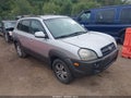 2006 Hyundai Tucson — photo 1 of 11 | VIN KM8JN12D96U289677
