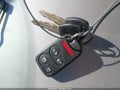 2002 Honda Odyssey — photo 11 of 11 | VIN 2HKRL18662H547373