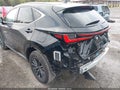 2025 Lexus NX 350h — photo 19 of 19 | VIN JTJGKCEZ5S2056652