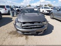 2013 Ford Mustang — photo 12 of 16 | VIN 1ZVBP8CFXD5238219